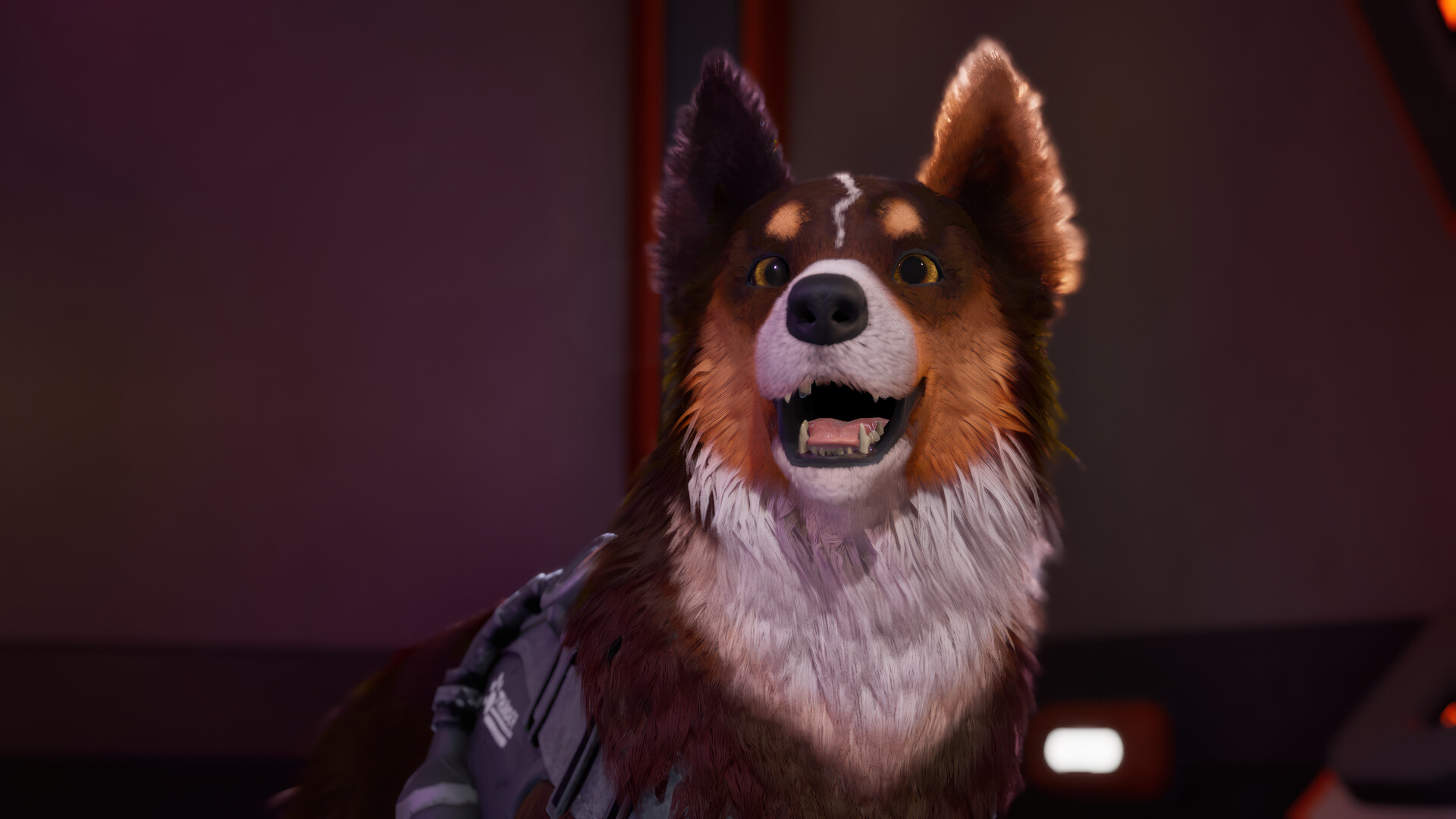 Barkour #1