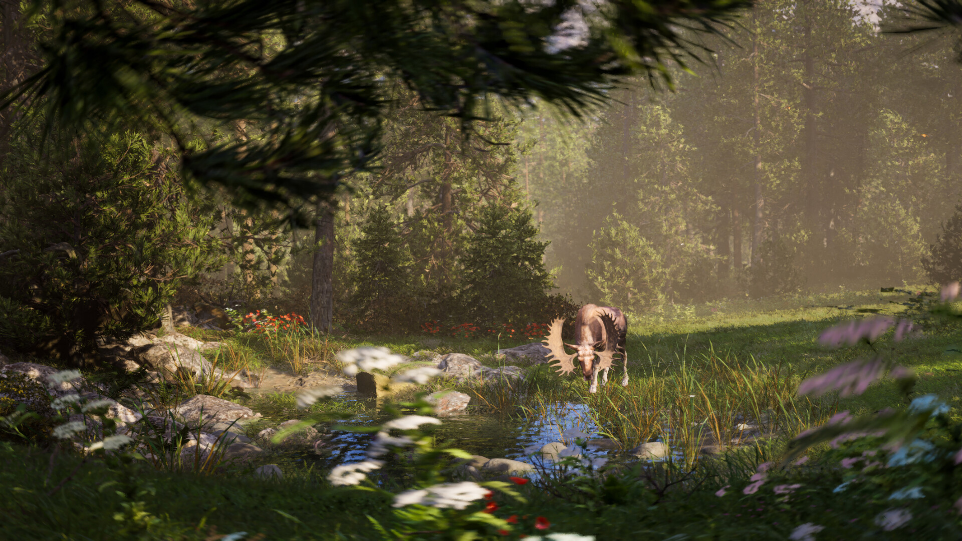 Next Hunting Adventure #3