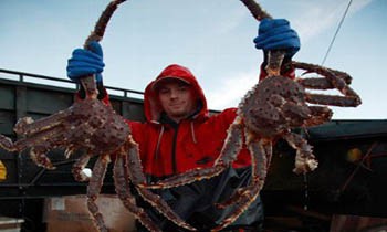 Deadliest Catch: Sea of Chaos