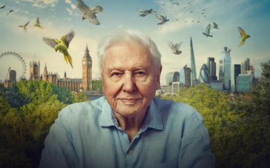 Człowiek, który pokazał nam świat kończy 100 lat! Wyjątkowy weekend z sir Davidem Attenborough w BBC Earth
