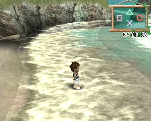 Harvest Moon: A Wonderful Life