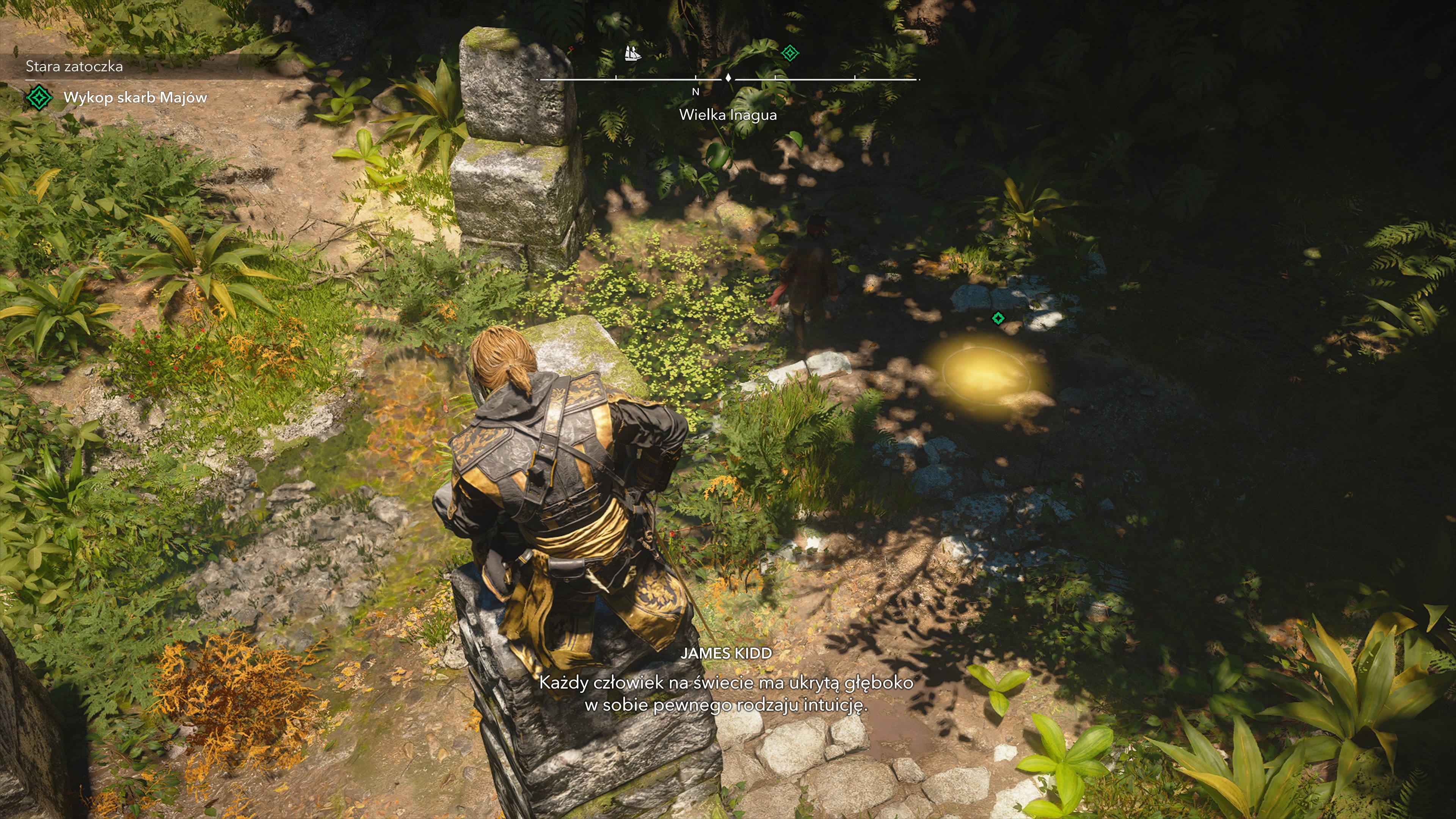 Assassin's Creed Black Flag - Stara zatoczka: cywilizacja Majów, ruiny, wzory
